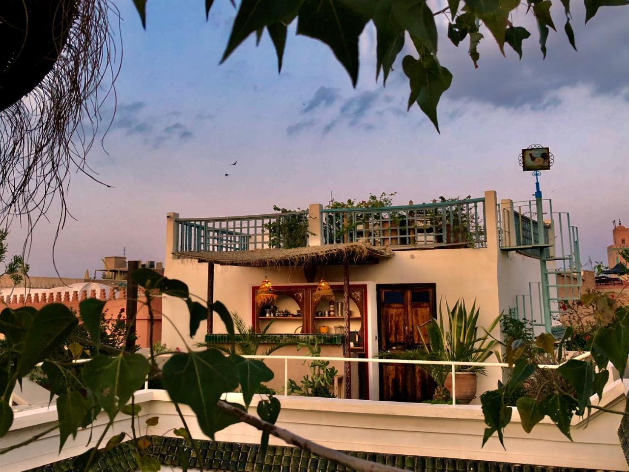 Riad Le Coq Berbere มาร์ราเกช ภายนอก รูปภาพ